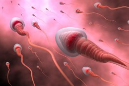 VÄHETUNTUD FAKTID MEESTE ORGASMIST: sperma on kiirem kui Usain Bolt ja meeski võib saada mitu orgasmi järjest