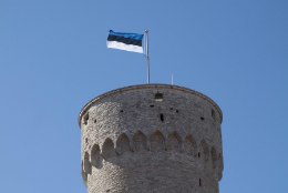 Vastupanuvõitluse päeva lipuheiskamise au on Tallinna 21. kooli õpilastel