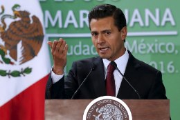 Mehhiko kaalub kanepi legaliseerimist ravieesmärgil