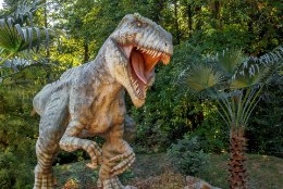 HIRMUS, KUID ÕRN: Türannosaurus Rex oli malbe armastaja
