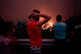 VIDEO JA FOTOD | Kurvad kaadrid Portugali metsapõlengute tagajärgedest