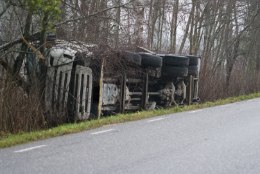FOTOD | TEINE SÜNNIPÄEV: veoki kabiini tunginud pirakas puu säästis autojuhti