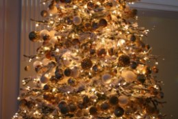 TV3 VIDEO | Niguliste muuseumis särab taas jõulupuu