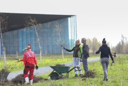 Ehituspraak: Tuhanded ERMi kibuvitsad lähevad komposti