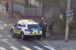 Liiklusmärki eiranud politseisõiduk põrkus kokku jalgratturiga, keegi viga ei saanud
