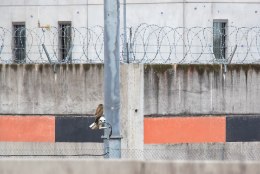 Vangla ja prokuratuur ei toeta sõjakurjategijate ennetähtaegset vabastamist