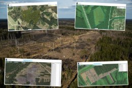 SUUR ANALÜÜS | PRAAK, AHNITSEMINE JA JOKK-SKEEMID: Eesti metsade elu löövad sassi koletusuured raiesmikud