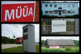 EILSE PÄEVA HALE VARI: Tallinna-Tartu tee vanal lõigul annab elumärke otsida