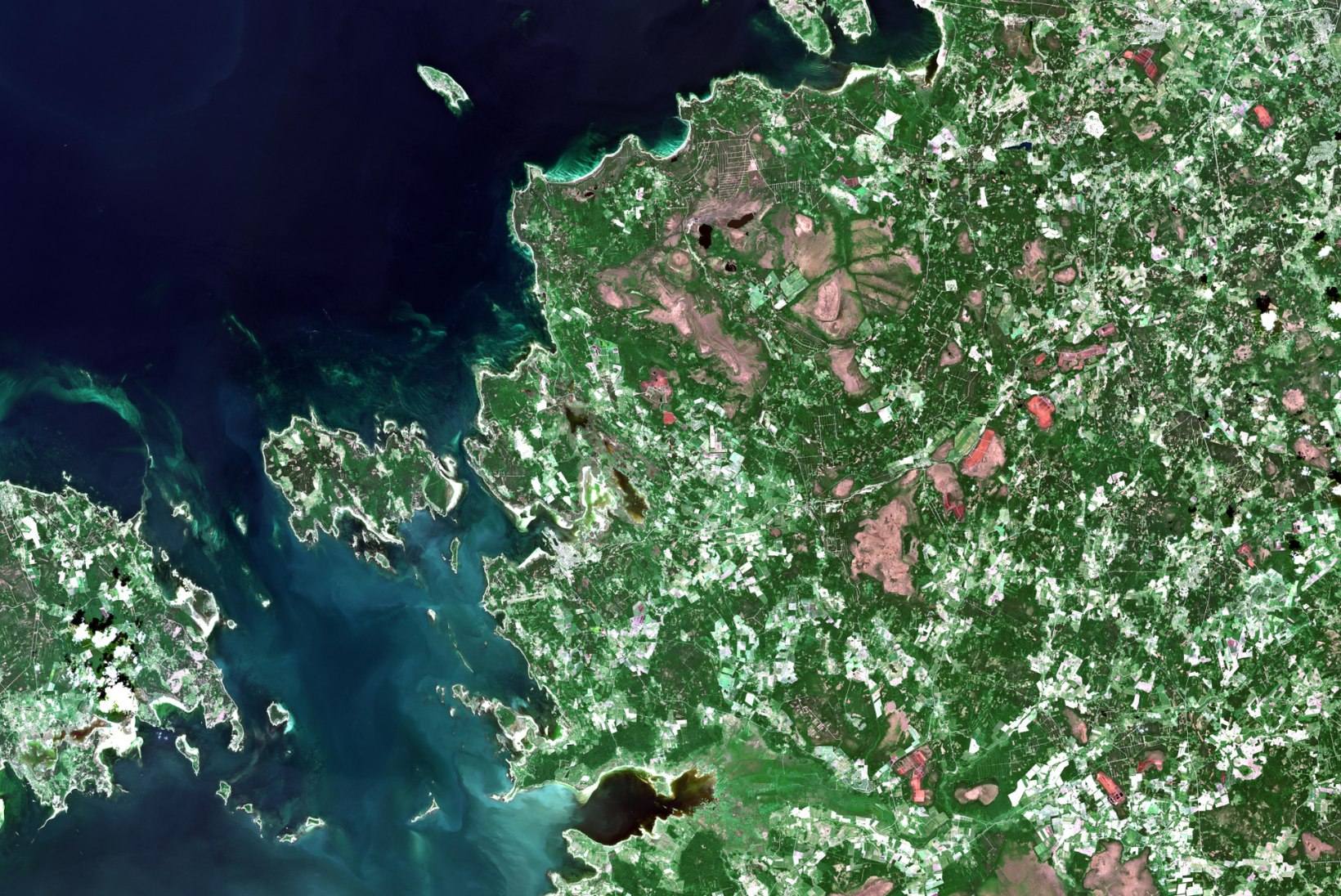 Eesti teadlased vaatavad kosmosest, kuidas kasvab rohi, kerkib maja ja millised alad on tuleohtlikud