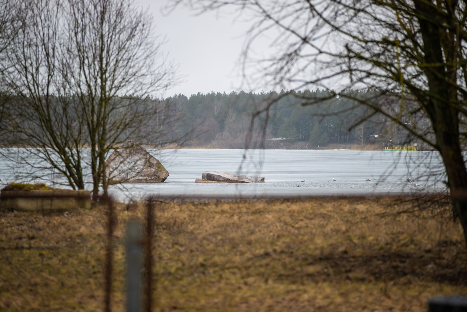 Kas saastav põleng mõjutas veekvaliteeti? Tallinna Vesi: Ülemiste järve vesi on puhas