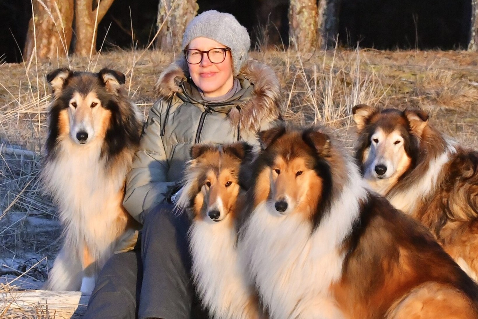 Kollikasvatajad jagavad oma kogemusi: „Ei saa võrrelda Lassie filmide peategelast ja päris koeri!“