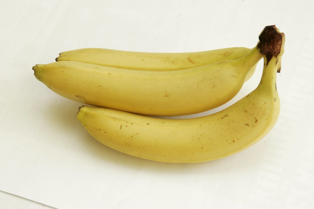 Banaanikõverusest puu otsas kasvavate porganditeni: euroliidu tobedustest ja jaburustest ei saada kunagi jagu