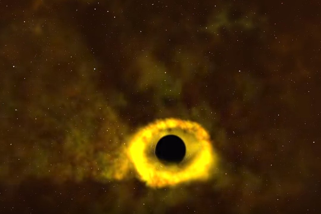 VIDEO | Vaata, kuidas must auk hävitab meie Päikese suuruse tähe