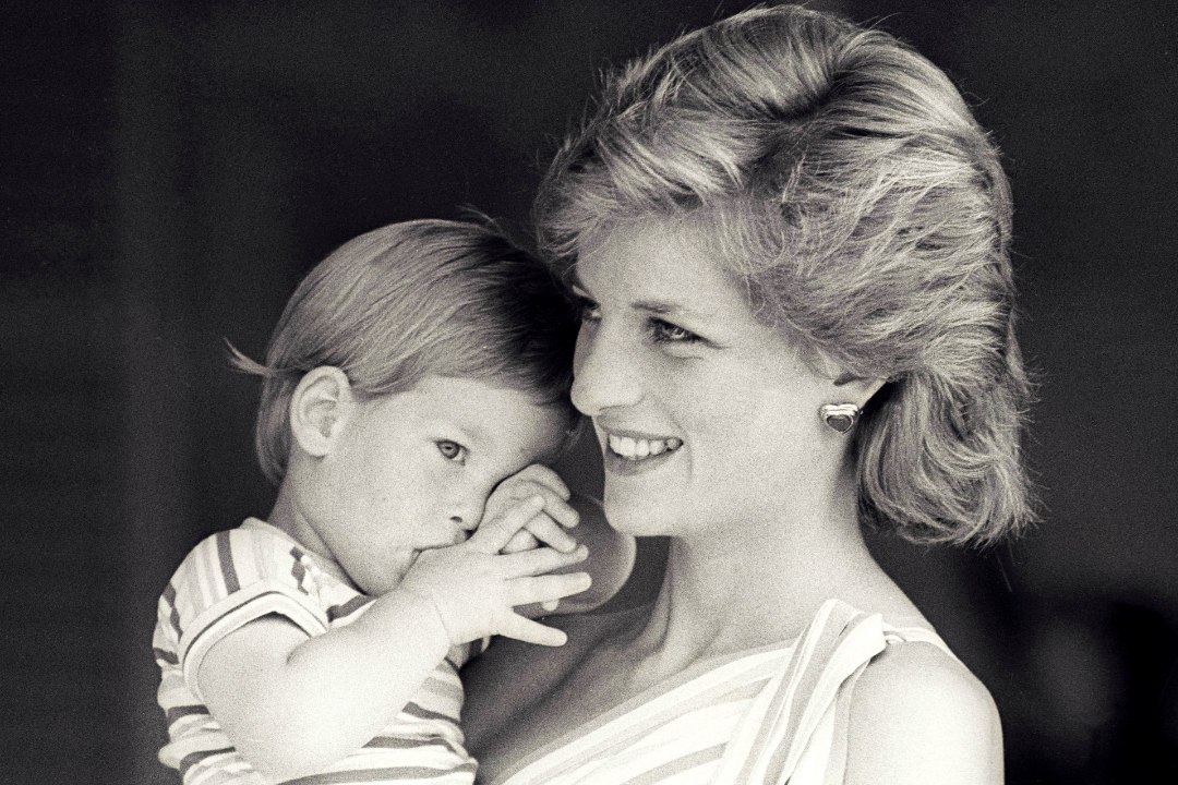 Diana jättis oma pojale Harryle hiiglasliku varanduse