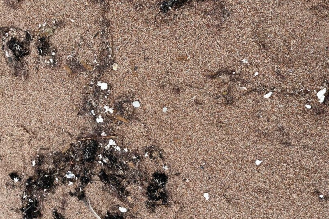AINULT RAHU! Hiiumaa randa uhutud valged terad ei ohusta keskkonda